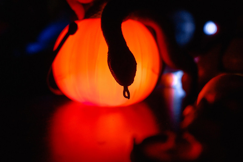 Украшение дома паутиной и летучими мышами к Хэллоуину в Nizhny Novgorod